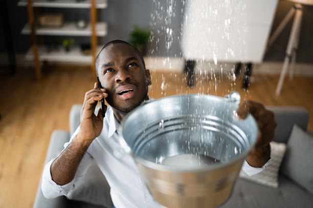 Best Water damage restoration near me  in Spencer, WV
