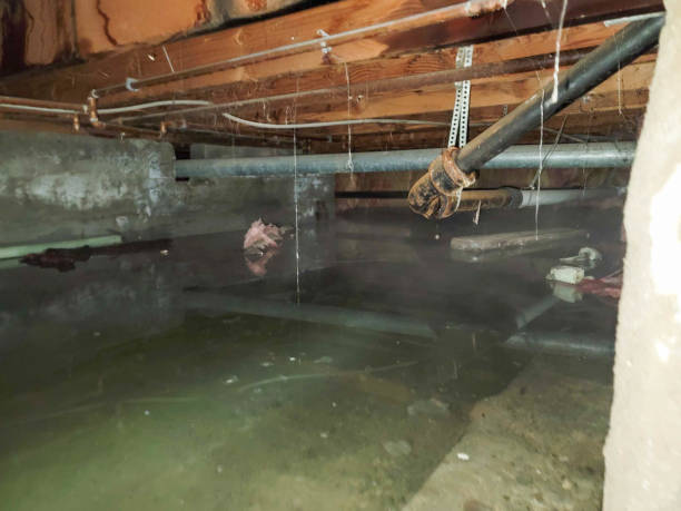 Spencer, WV Water damage restoration Pros