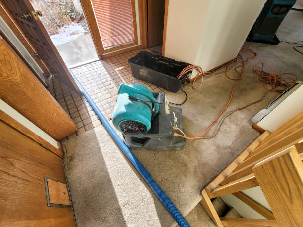 Best Water damage contractors near me  in Spencer, WV