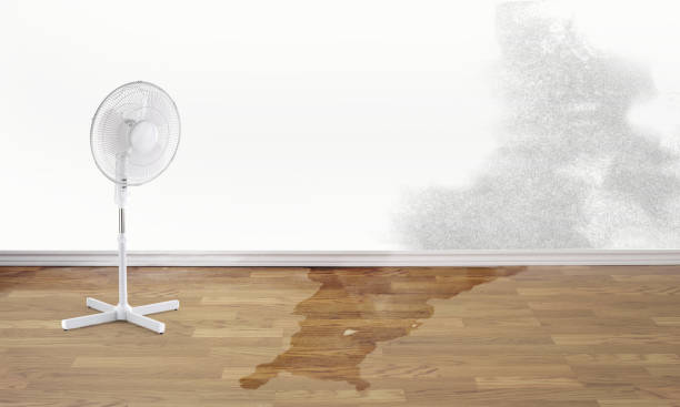 Best Emergency water damage restoration  in Spencer, WV