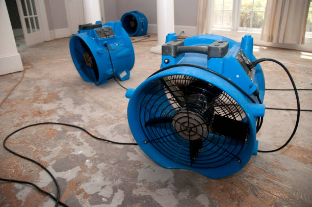 Best 24-hour water damage restoration  in Spencer, WV