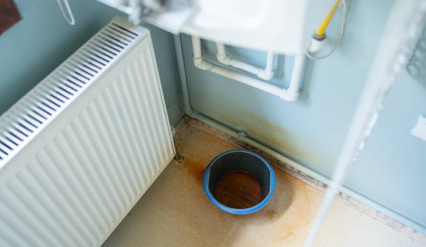 Best Water damage restoration services  in Spencer, WV