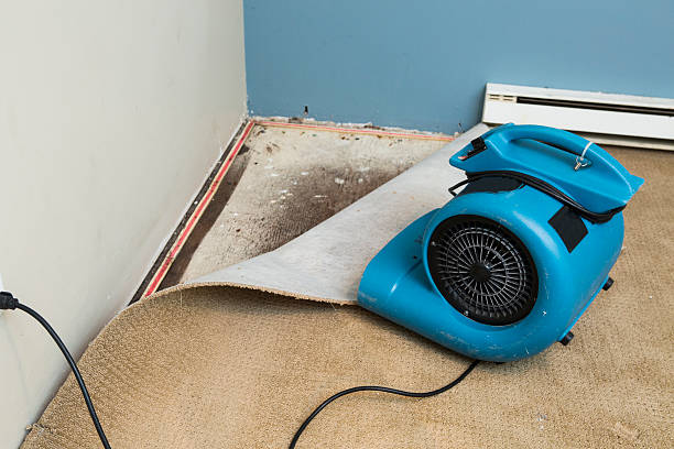 Best Local water damage restoration  in Spencer, WV